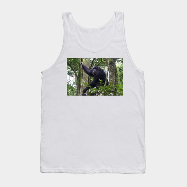 Chimpanzee in Kibaei Forest National Park, Uganda Tank Top by SafariByMarisa